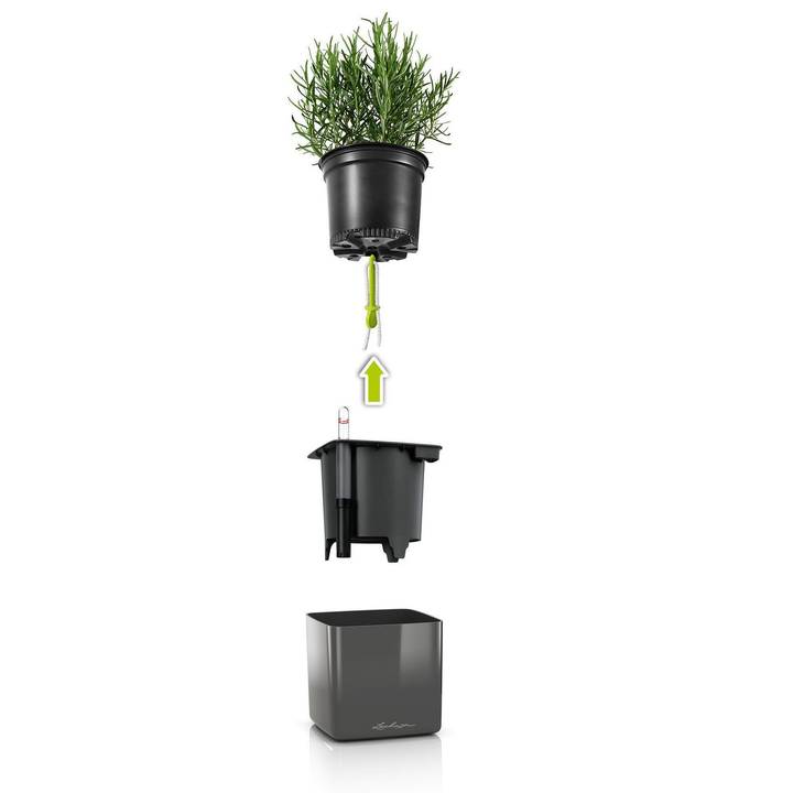 LECHUZA Vaso Green Wall Home Kit, Weiss, glanz (48 cm)