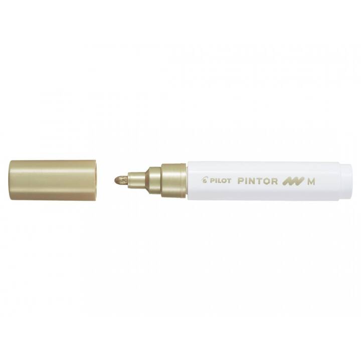 PILOT PEN Pennarello indelebile Pintor M (Oro, 1 pezzo)