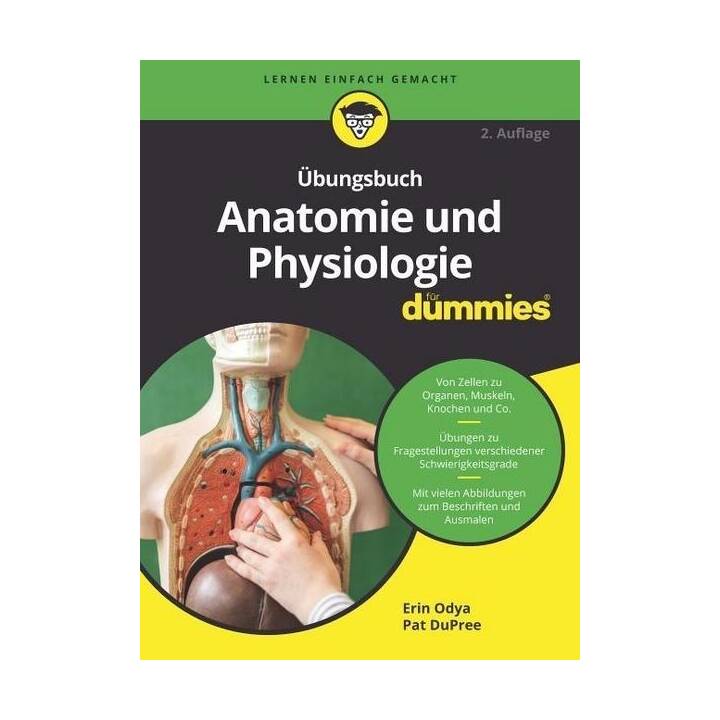 Übungsbuch Anatomie und Physiologie für Dummies