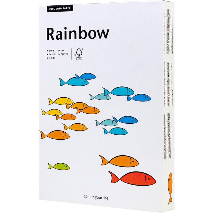 PAPYRUS Rainbow Papier couleur (250 feuille, A4, 120 g/m2)