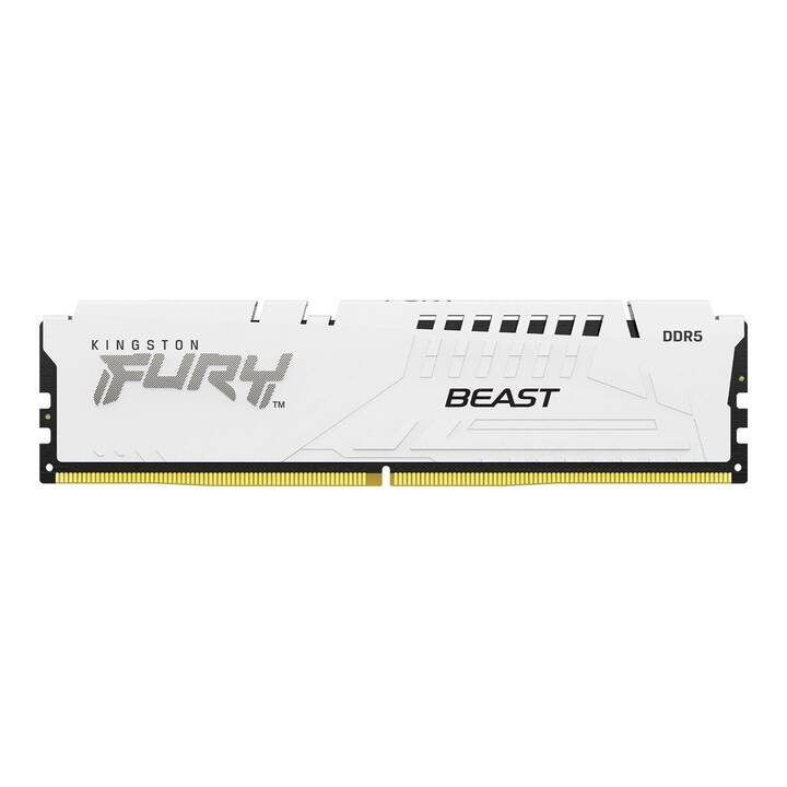 KINGSTON TECHNOLOGY FURY Beast KF560C30BW-16 (1 x 16 GB, DDR5 6000 MHz, DIMM 288-Pin)