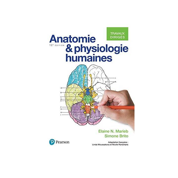 Anatomie et Physiologie humaines, Travaux dirigés, 12 ed