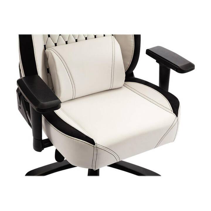 LC POWER Gaming Chaise LC-GC-800BW (Noir, Blanc)