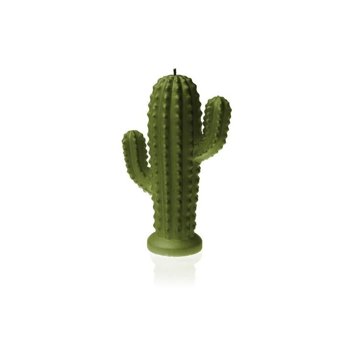 CANDELLANA Motivkerze Cactus (Grün)