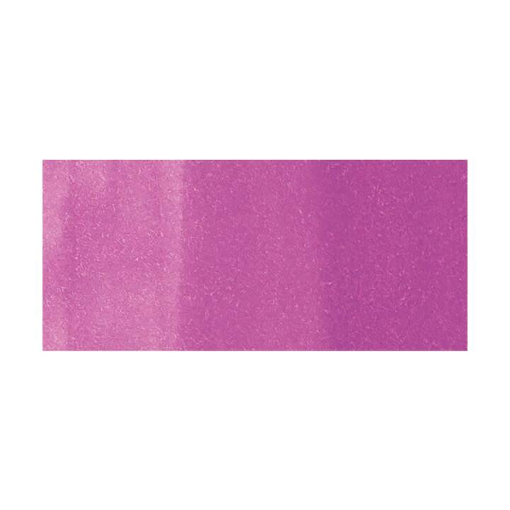 COPIC Marqueur de graphique Classic V04 Lilac (Pourpre, 1 pièce)