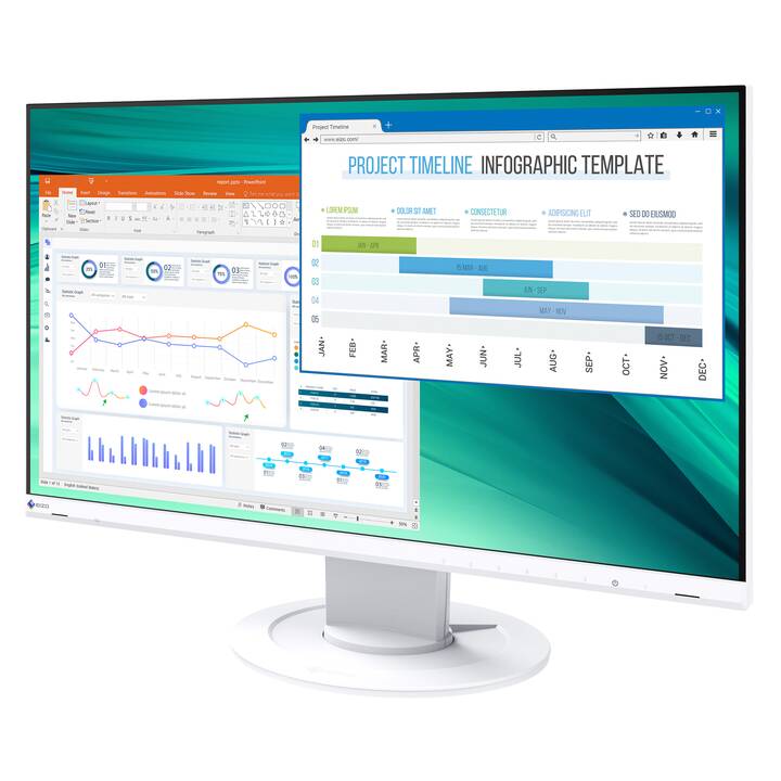 EIZO FlexScan EV2460 Swiss Edition (23.8", 1920 x 1080)