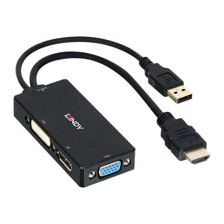 LINDY Convertisseur vidéo (HDMI, USB A)