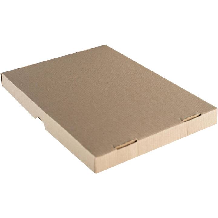 BRIEGER Versandbox (22.7 cm x 15.5 cm x 5.5 cm, 1 Stück)