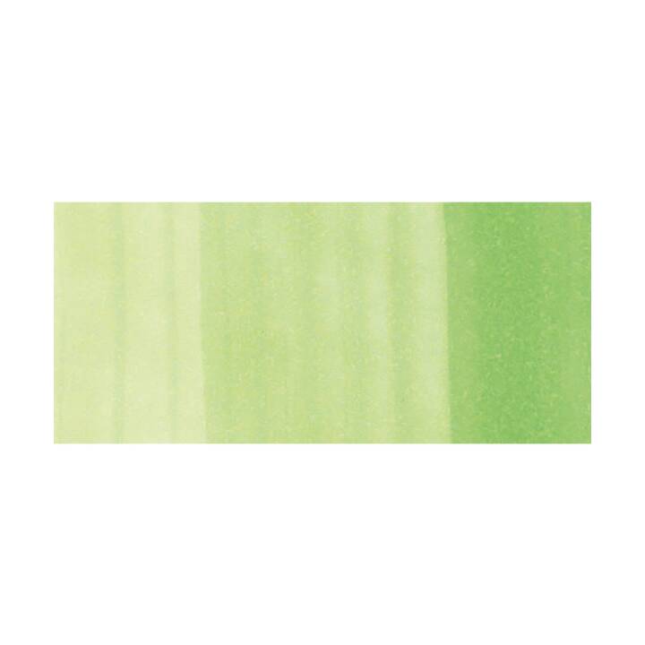 COPIC Marcatori di grafico Classic YG05 Salad (Verde, 1 pezzo)