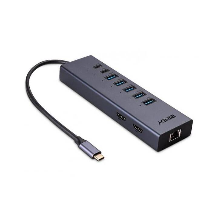 LINDY Stations d'accueil DST-Mini Duo (5 x USB de type A, RJ-45 (LAN), HDMI 2.0, USB de type C)