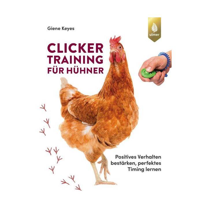 Clickertraining für Hühner