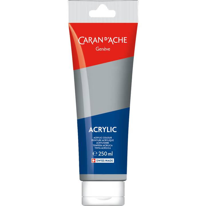 CARAN D'ACHE Couleur acrylique (250 ml, Argent, Gris clair, Gris)