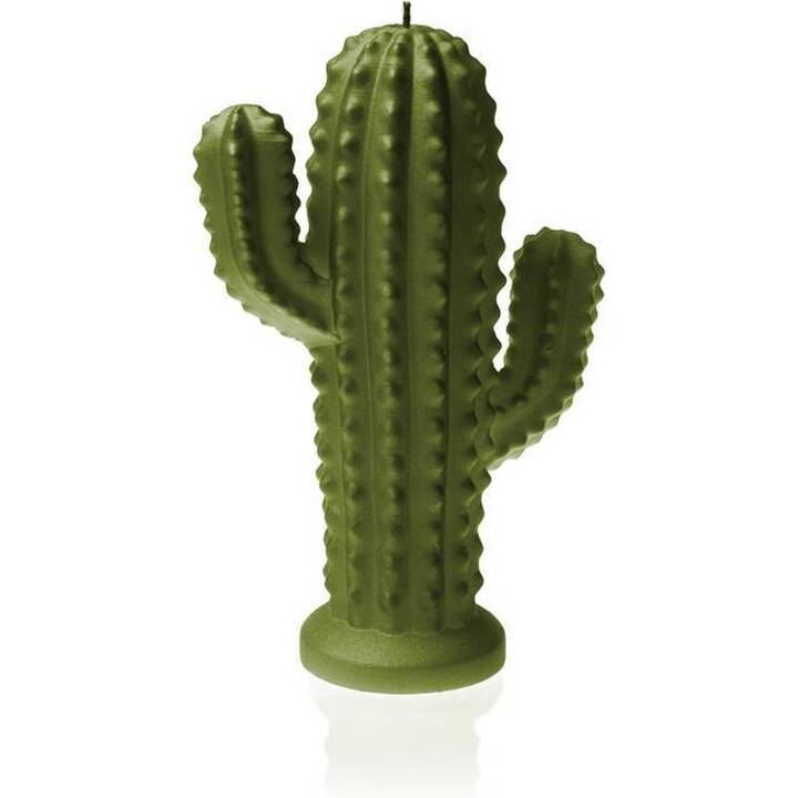 CANDELLANA Bougie à motifs Cactus (Vert)