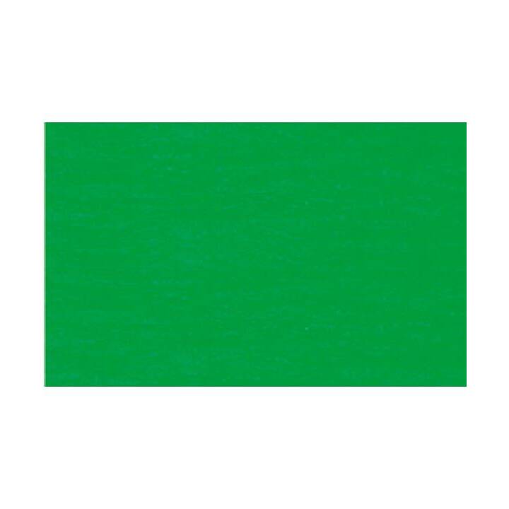 URSUS Carta crespata 54 (Verde)