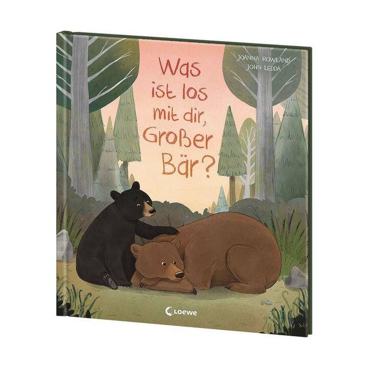 Was ist los mit dir, Grosser Bär?. Liebevolles Bilderbuch über Traumata und PTBS - gibt Betroffenen und Angehörigen Mut und spendet Hoffnung - für Kinder ab 5 Jahren