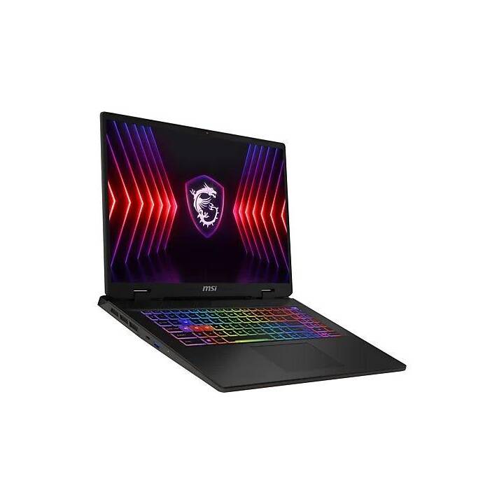 MSI Sword 17 HX B14VGKG 2024 (17", Intel Core i7, 16 GB RAM, 1000 GB SSD)