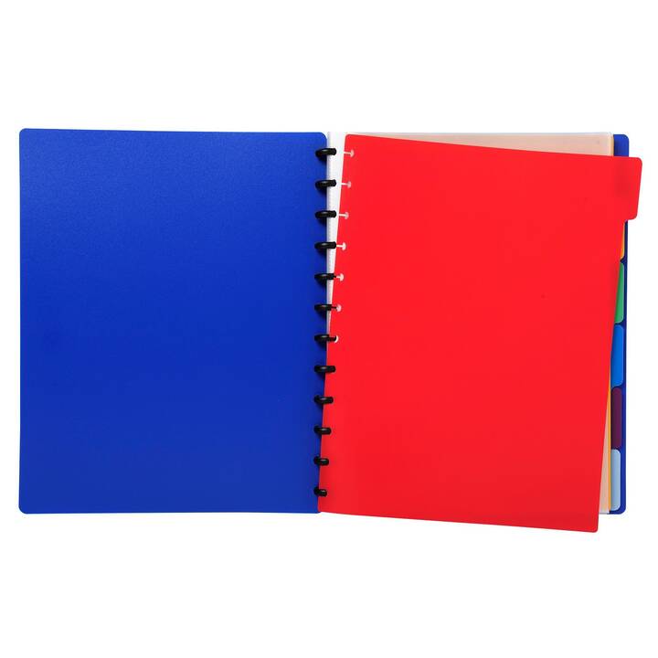 EXACOMPTA Dossier d'index (Rouge, Multicolore, A4, 1 pièce)