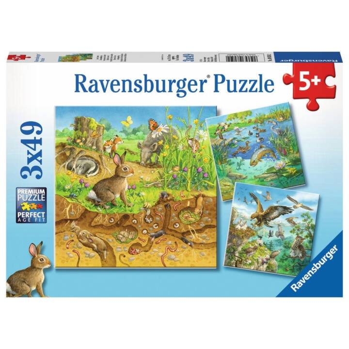RAVENSBURGER Kunst Puzzle (49 x)