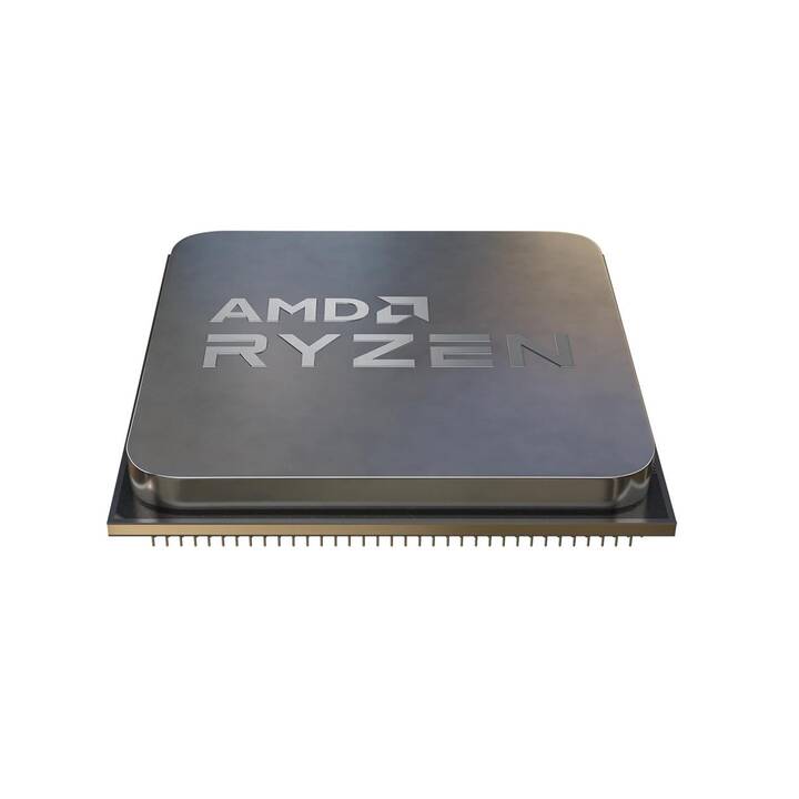 AMD 4300G  (AM4, 3.8 GHz)