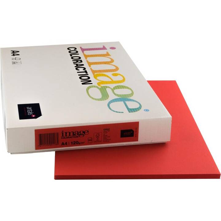 IMAGE Coloraction Papier couleur (250 feuille, A4, 120 g/m2)