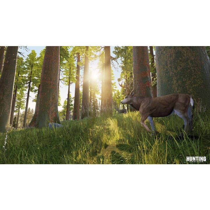 Hunting Simulator (DE, FR)