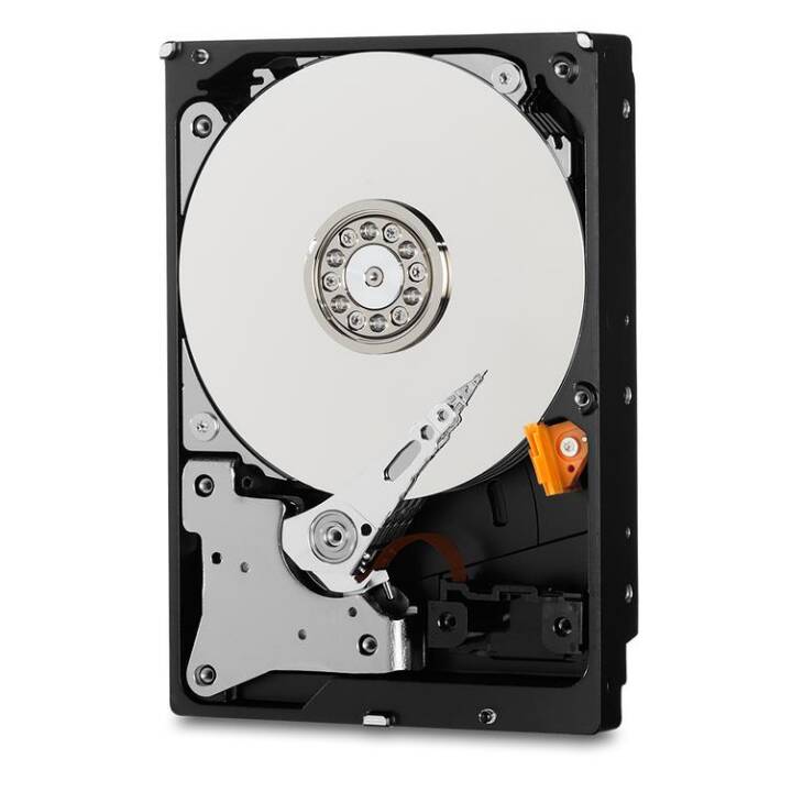 WESTERN DIGITAL WD Purple (SATA-III, 4000 GB)