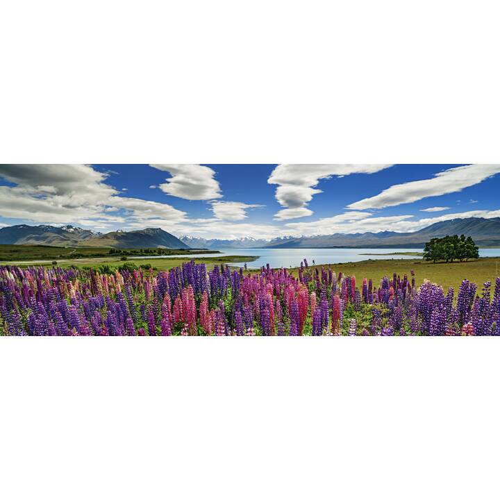 HEYE KALENDER Lake Tekapo Panorama Puzzle (1000 x)