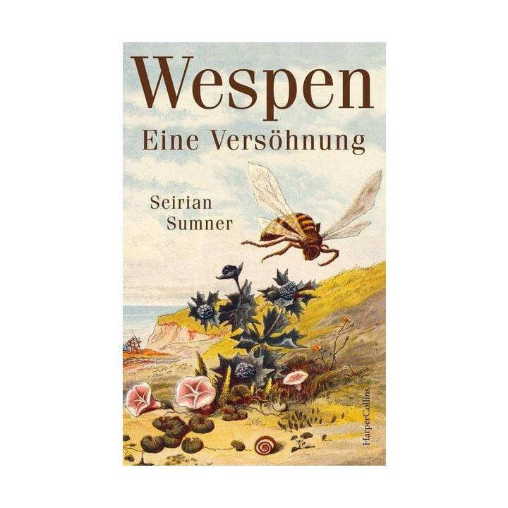 Wespen - Eine Versöhnung