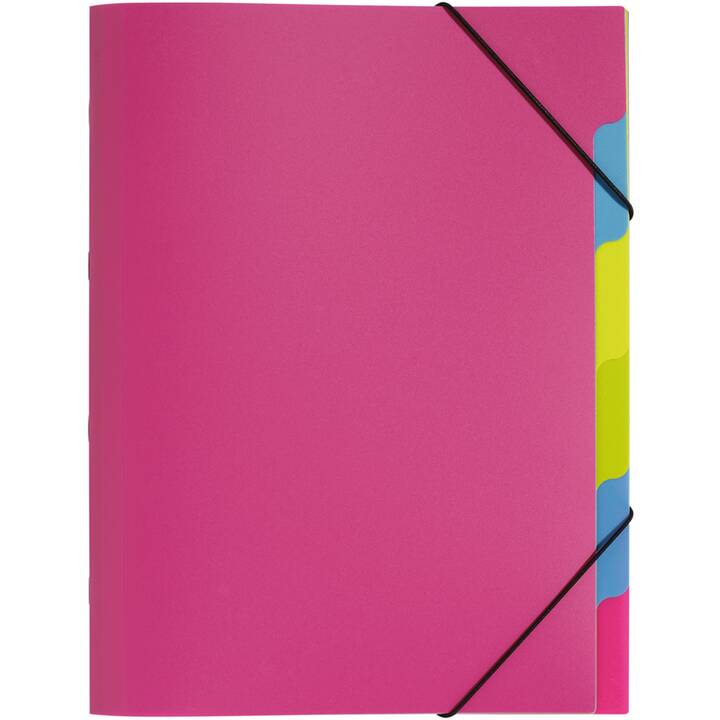 PAGNA Archivio a soffietto Funky School (Pink, Rosa, A4, 1 pezzo)