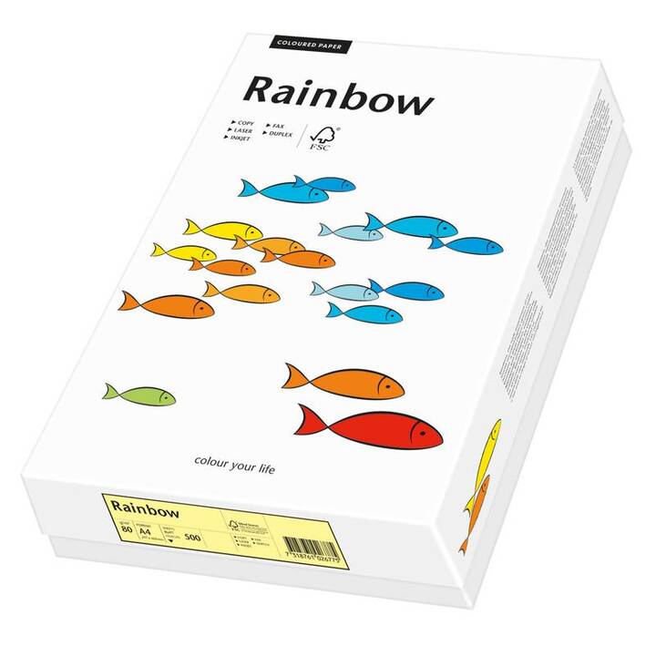 PAPYRUS Rainbow Carta colorata (500 foglio, A4, 80 g/m2)
