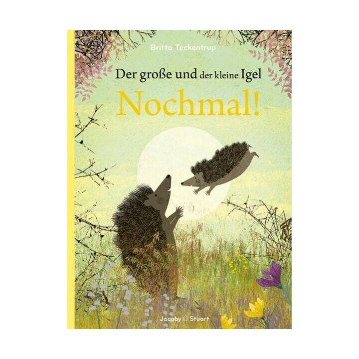 Der grosse und der kleine Igel / Nochmal!