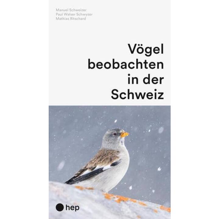 Vögel beobachten in der Schweiz