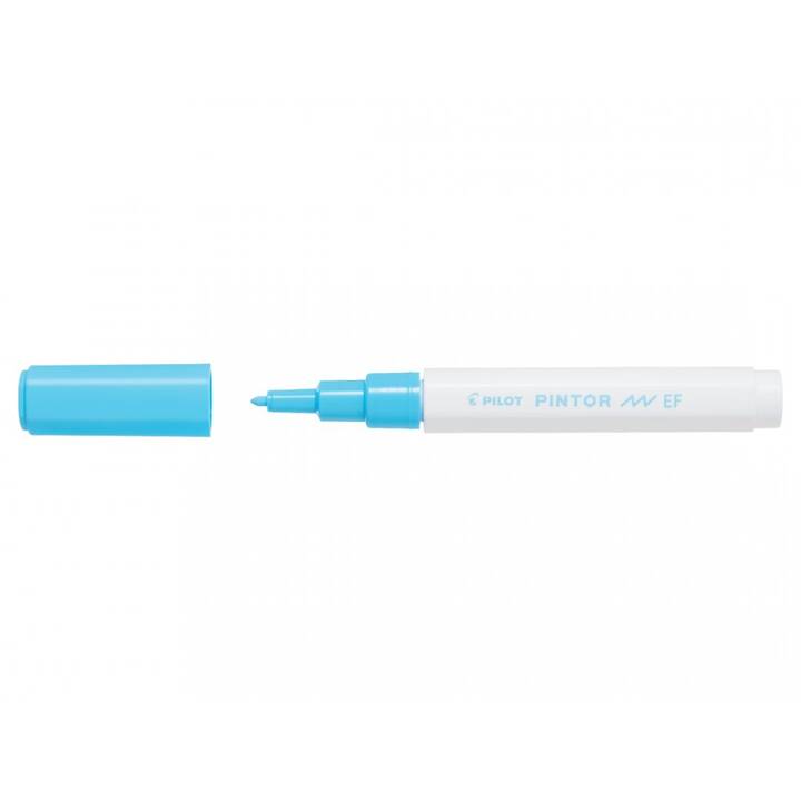 PILOT PEN Marcatore creativo Pintor (Blu, 1 pezzo)