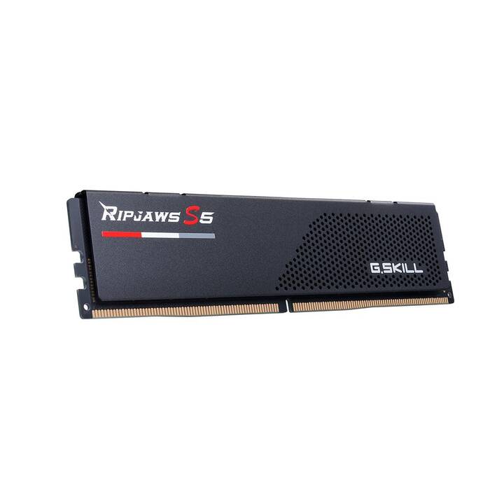 G.SKILL  Ripjaws S5 F5 (2 x 16 Go, DDR5, DIMM 288-Pin)