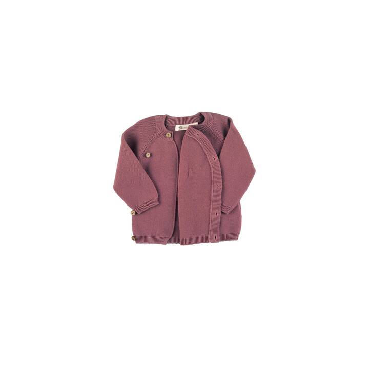 STERNTALER Veste pour enfants (68, Pink, Rose)