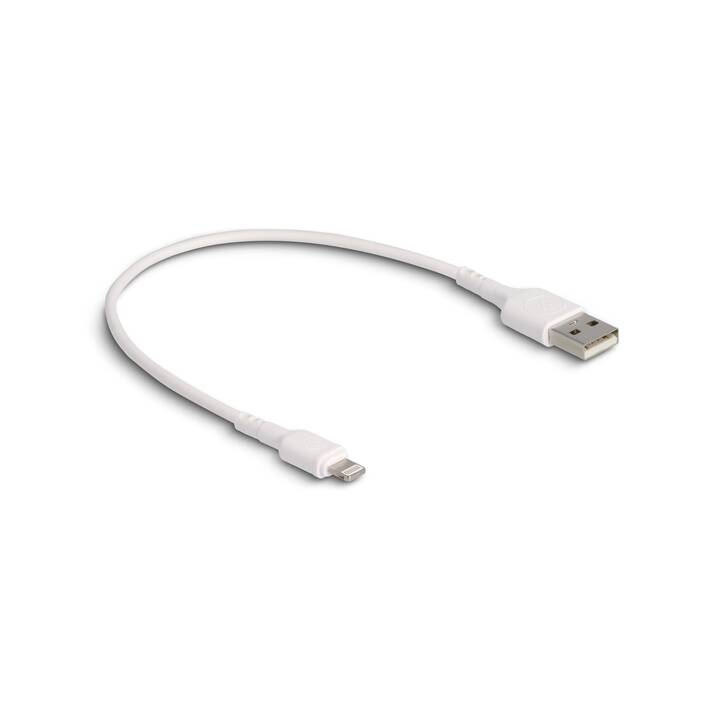 DELOCK USB-Kabel (USB 2.0 Typ-A, Lightning, 0.3 m)