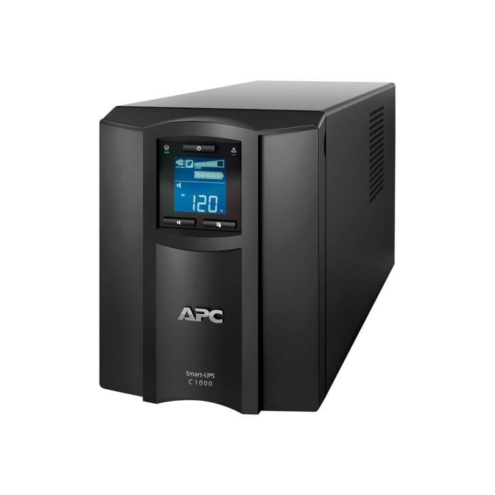 APC Smart Gruppo statico di continuità UPS (1000 VA)