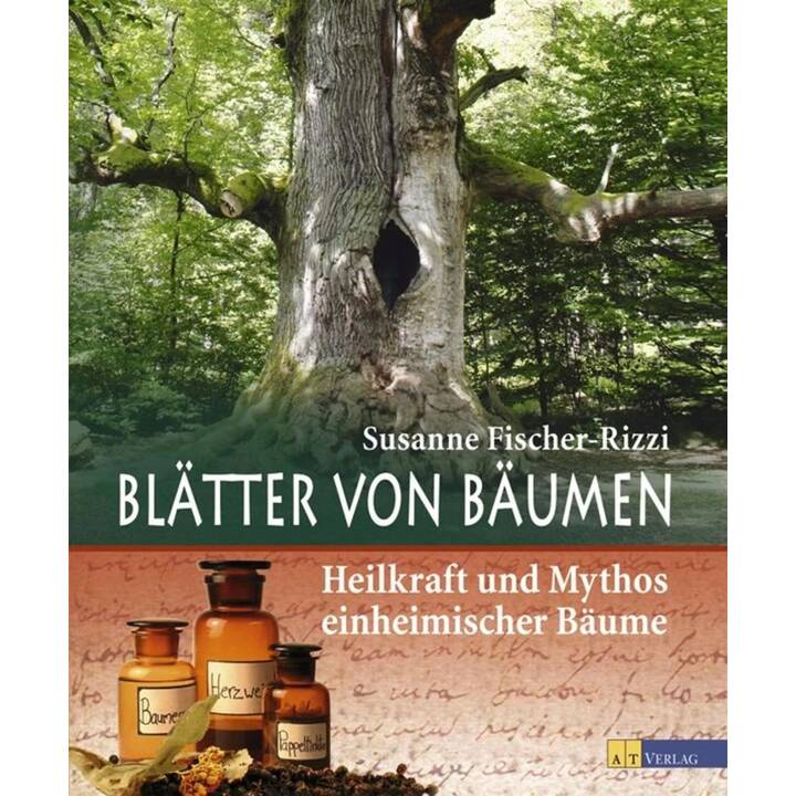 Blätter von Bäumen