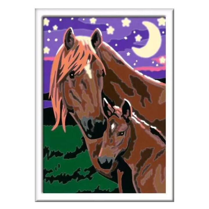 RAVENSBURGER Horses at Midnight (CreArt)