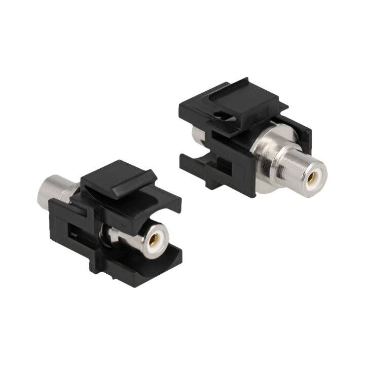 DELOCK Adapter (Cinch)