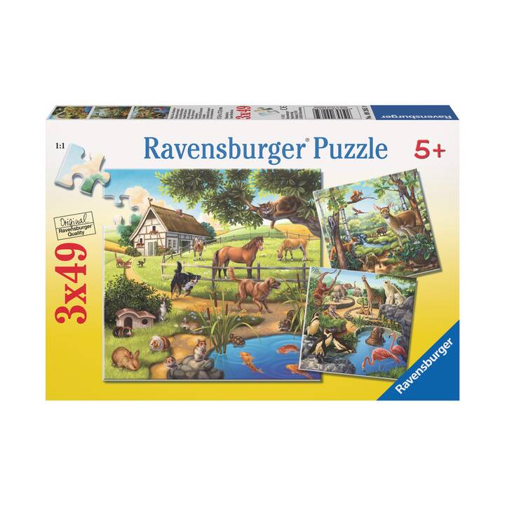 RAVENSBURGER Animaux Puzzle (3 x 49 x)