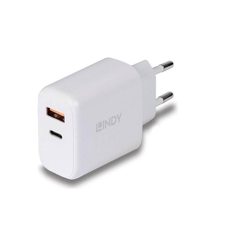 LINDY Station de recharge (USB C, USB A)