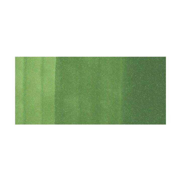 COPIC Marqueur de graphique Sketch YG67 - Moss (Vert, 1 pièce)