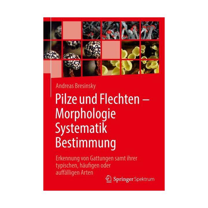 Pilze und Flechten - Morphologie, Systematik, Bestimmung