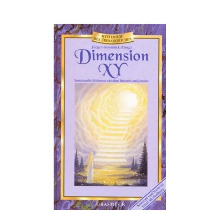 Dimension XY