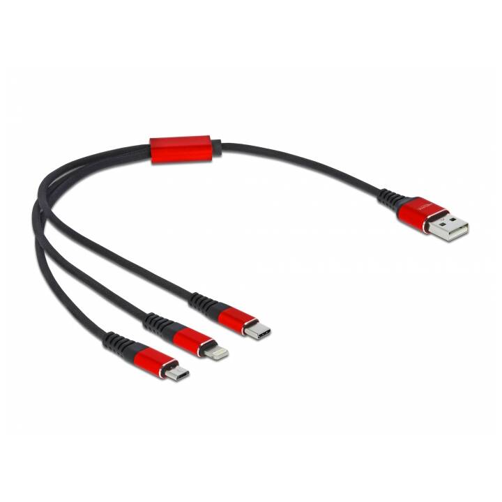 DELOCK 3 in 1 Câble USB (USB 2.0 de type A, USB de type C, Lightning, 30 cm)