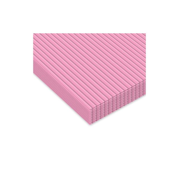 URSUS Carton ondulé (Pink, 10 pièce)