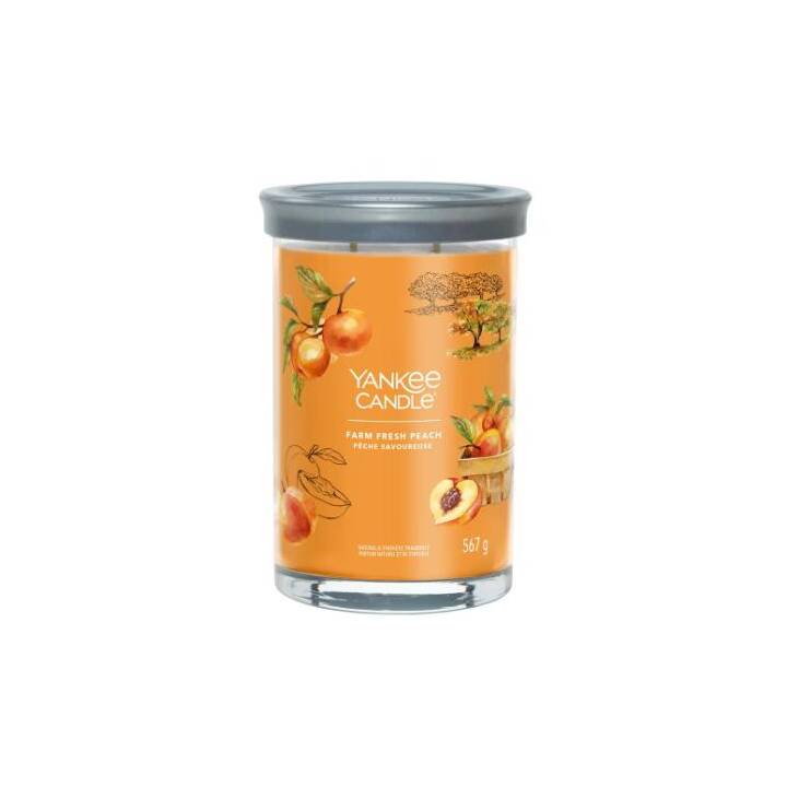 YANKEE CANDLE Bougie parfumée Farm Fresh Peach