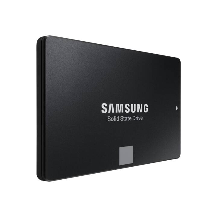 SAMSUNG 860 EVO (SATA-III, 500 GB, Schwarz)