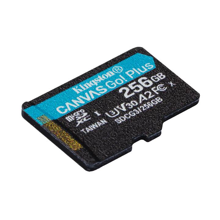 KINGSTON TECHNOLOGY MicroSD Canvas Go! (Class 10, 256 Go, 170 Mo/s)